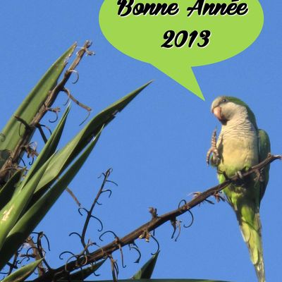 TREIZE heureuse année 2013 à tous !