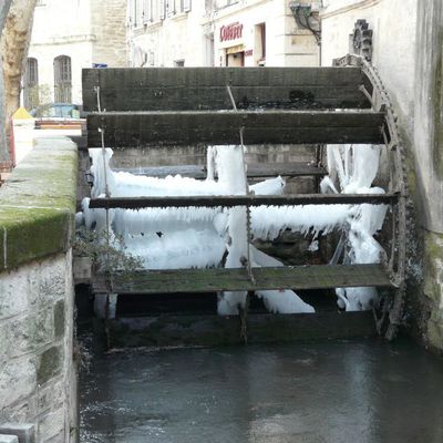 Coup de froid sur la Sorgue