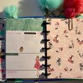 pages Mini Happy Planner RongRong, février 2020