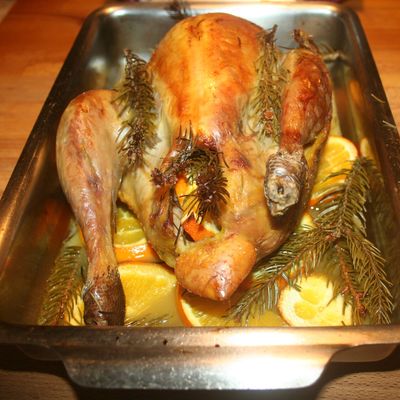 Pintade de Noël ; orange et sapin