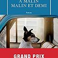 A malin malin et demi