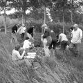 dejeuner sur l'herbe suite