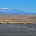 Petrified Forest National Parc