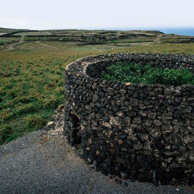 Guide des vins des îles 2 : Pantelleria (Sicile), Abbazia San Giorgio