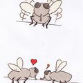 histoire d'amour..et de mouches!