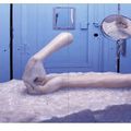 ARTS: La vie et l'oeuvre de Louise Bourgeois "sculptée "en deux livres 
