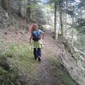 Weekend rando-trail entre le Petit et le Grand Ballon d'Alsace 1800m D+ 42km