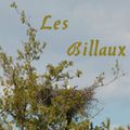 20160410 Les Billaux