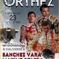 TOROS EN ORTHEZ