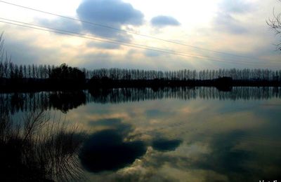 Au bord de l'etang avant le couche du soleil