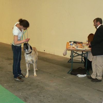 Championnat de France