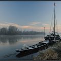 Matin d'hiver sur les bords de Loire...