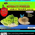 EVENEMENT J- 20: GOHELLIUM2019, 18ème BOURSE INTERNATIONALE MINERAUX-FOSSILES