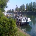 Les bords de Marne à Maison-Alfort