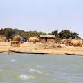 Jeudi 4 :  2° journée sur le NIGER et traversée du lac Debo