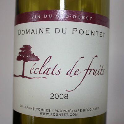 Vins du SUD - OUEST - Juin 2012