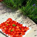 Carpaccio de fraises, Balsamique et Basilic