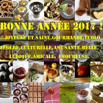 Bonne année 2017 !
