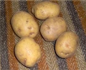 LES TRUCS DE GRANDS-MERES PERUVIENNES