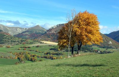 Un bel automne ?