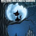 la véritable histoire des chats-garous au Petit Théatre (CREARC) de Grenoble