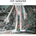 Carine-Laure Desguin chronique "TRI SÉLECTIF" de Joachim Bourry, 