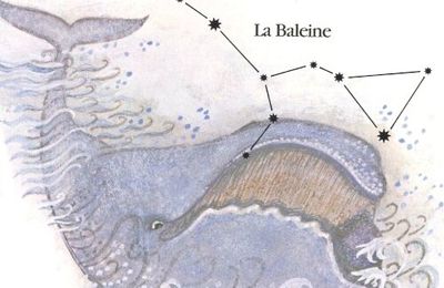 Voyage dans les étoiles