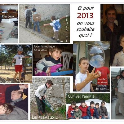 Voeux 2013