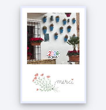 Mercredi 21 janvier 2026 ... Dans mon jardin endormi , je remercie la nature pour ces petites sauvageonnes qui éclairent la vie, mais avant tout je remercie toutes les personnes très nombreuses qui par leurs  cartes , envois de cadeaux m'ont tant gâtée , merci merci aussi à vous toutes et tous pour votre fidélité depuis de si nombreuses années 