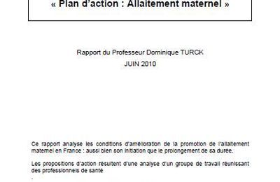 Plan d’action : allaitement maternel