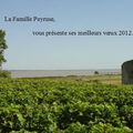 Voeux 2012