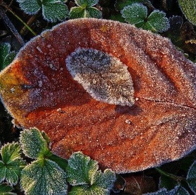 Sortir dans les vallons du 13 au 26 janvier 2020