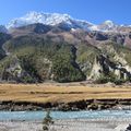 J22 Manang (3600m) - Dhikur Pokhari ( 3060m)