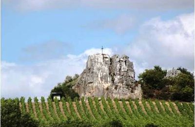 Les Coteaux d’Ancenis. Genre vitis, espèce vinifera. Au 3ème siècle.
