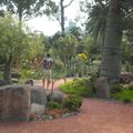royal botanic garden