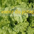 Des nouvelles du potager