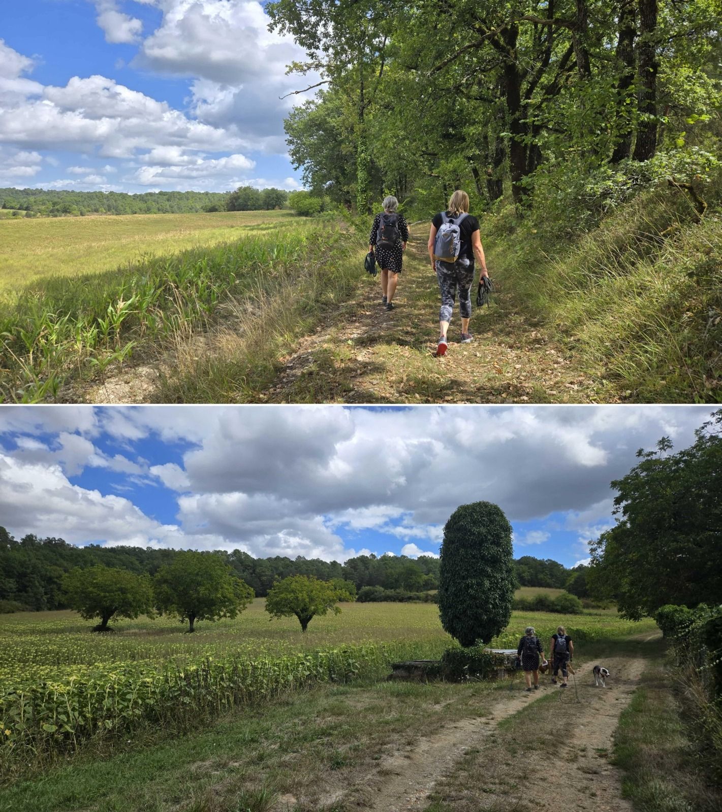 randonnée dans le Périgord Dordogne