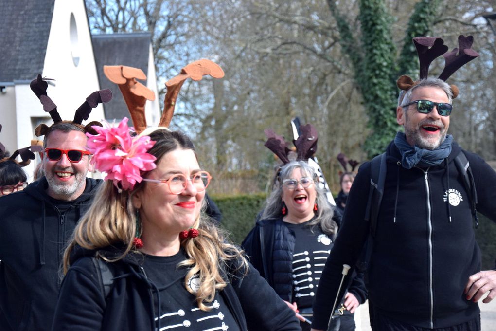 Au carnaval de Rennes le 15 mars 2025 (6)