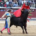 Temporada : Mont-de-Marsan – El Juli coupe la première oreille de la feria dans une course dénuée de passions