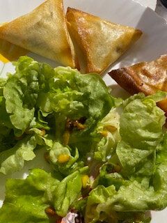 Bricks ou briouates de poulet aux épices