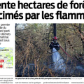 Charente : feu de forêt suite à un feu de déchets verts mal maîtrisé