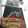 Playmobil - Le chien des Baskerville - Arthur Conan Doyle, Richard Unglik