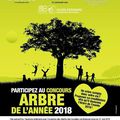 L'édition 2018 du Concours Arbre de l’Année est lancée...