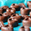 Chocolats noirs Gianduja de Pâques sans gluten ni produits laitiers 