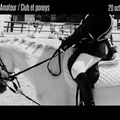 Concours > Dressage club, poneys, amateur 