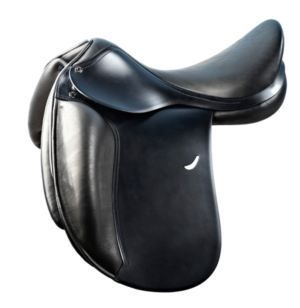 Travaillons sur de bonnes bases, désormais voici ma base de dressage