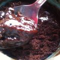 mug cake choco