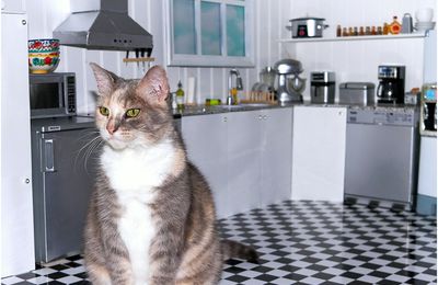 Visite de la cuisine