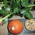 Velouté de potimarron, curcuma et noisettes torréfiées