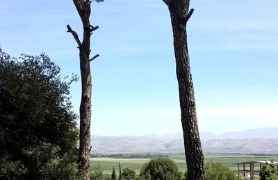 Un dimanche à la campagne